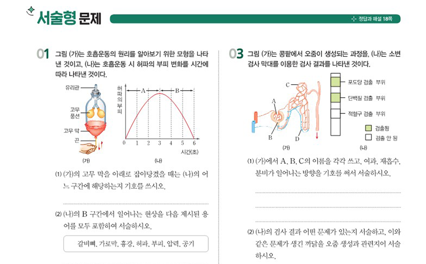 서술형 문제 이미지